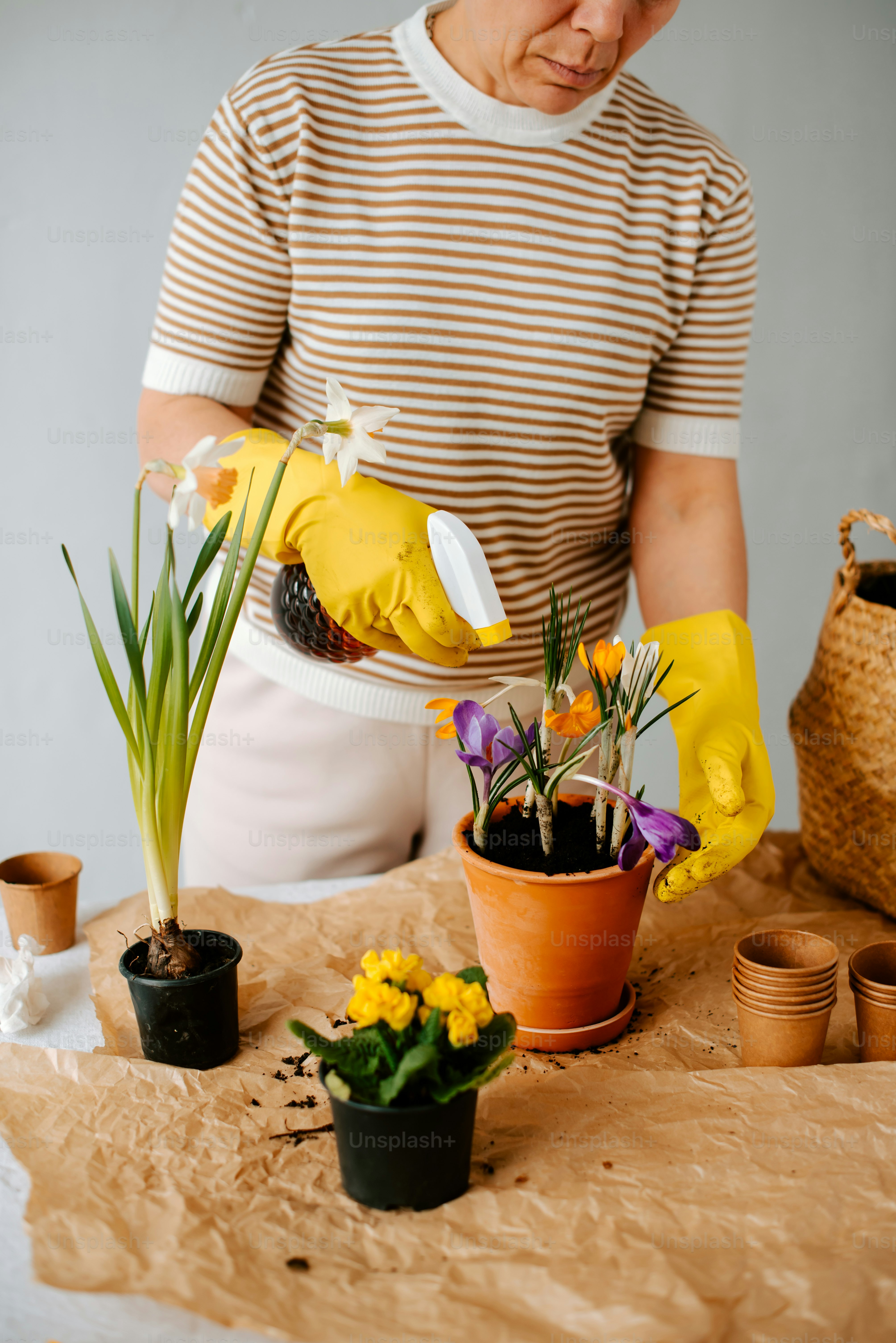 a woman in a striped shirt and yellow gloves is cleaning a potted plant