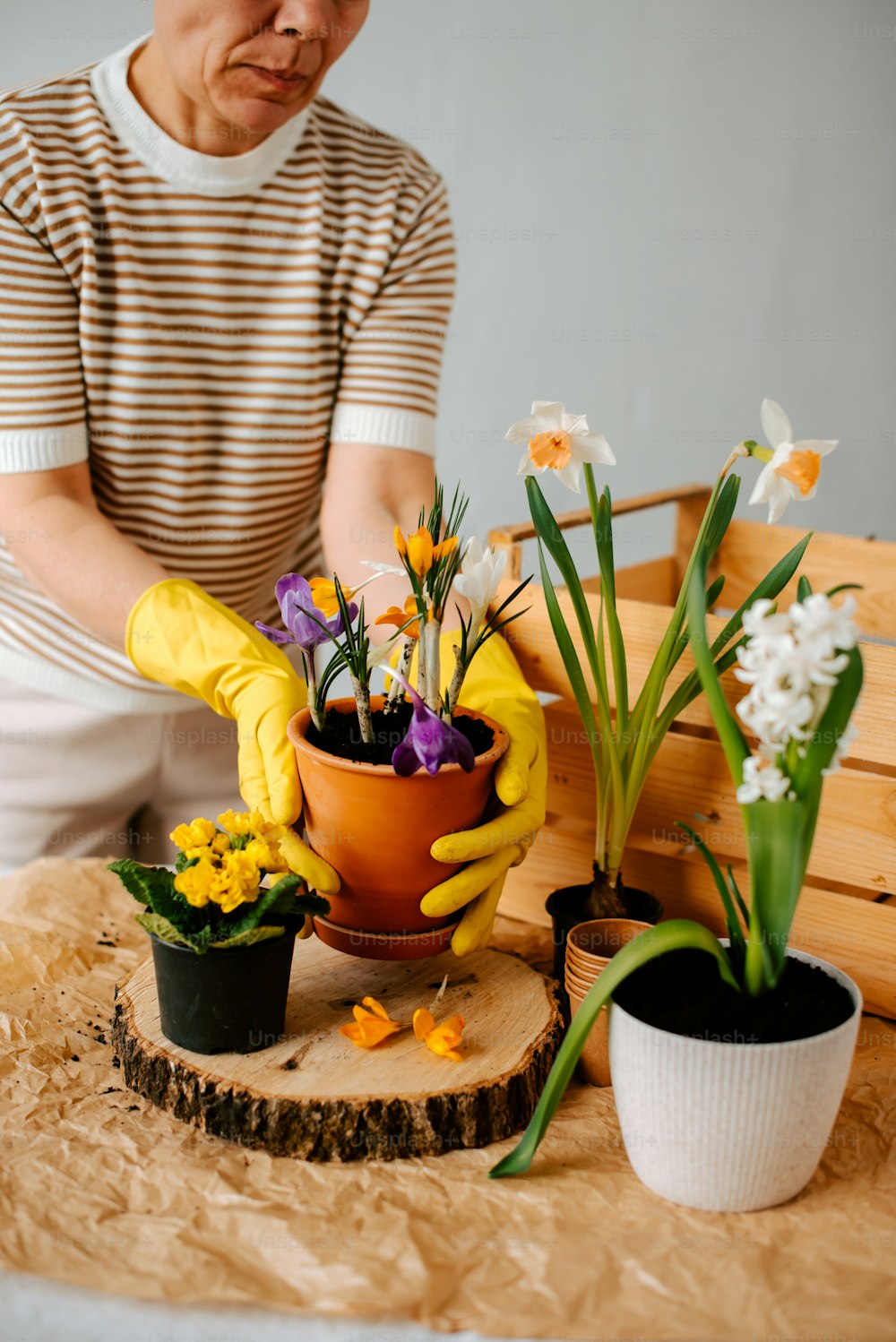 Un uomo con una camicia a righe e guanti gialli sta sistemando i fiori