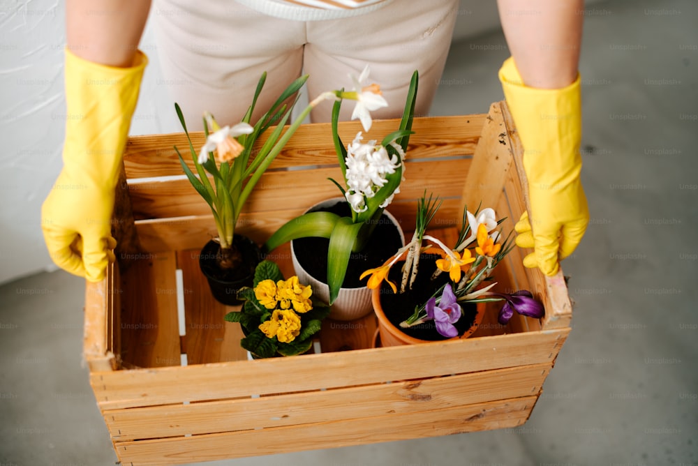 a person in yellow gloves holding a wooden box filled with flowers
