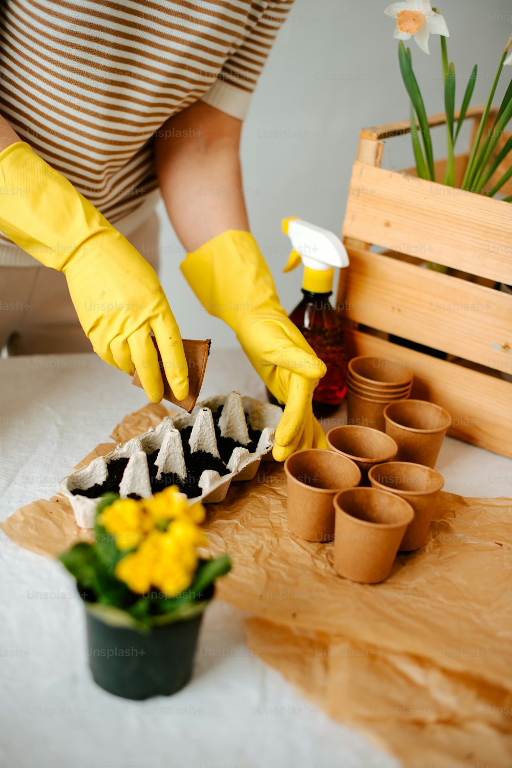黄色い手袋と黄色いゴム手袋をはめた人がカップケーキのトレイを掃除している