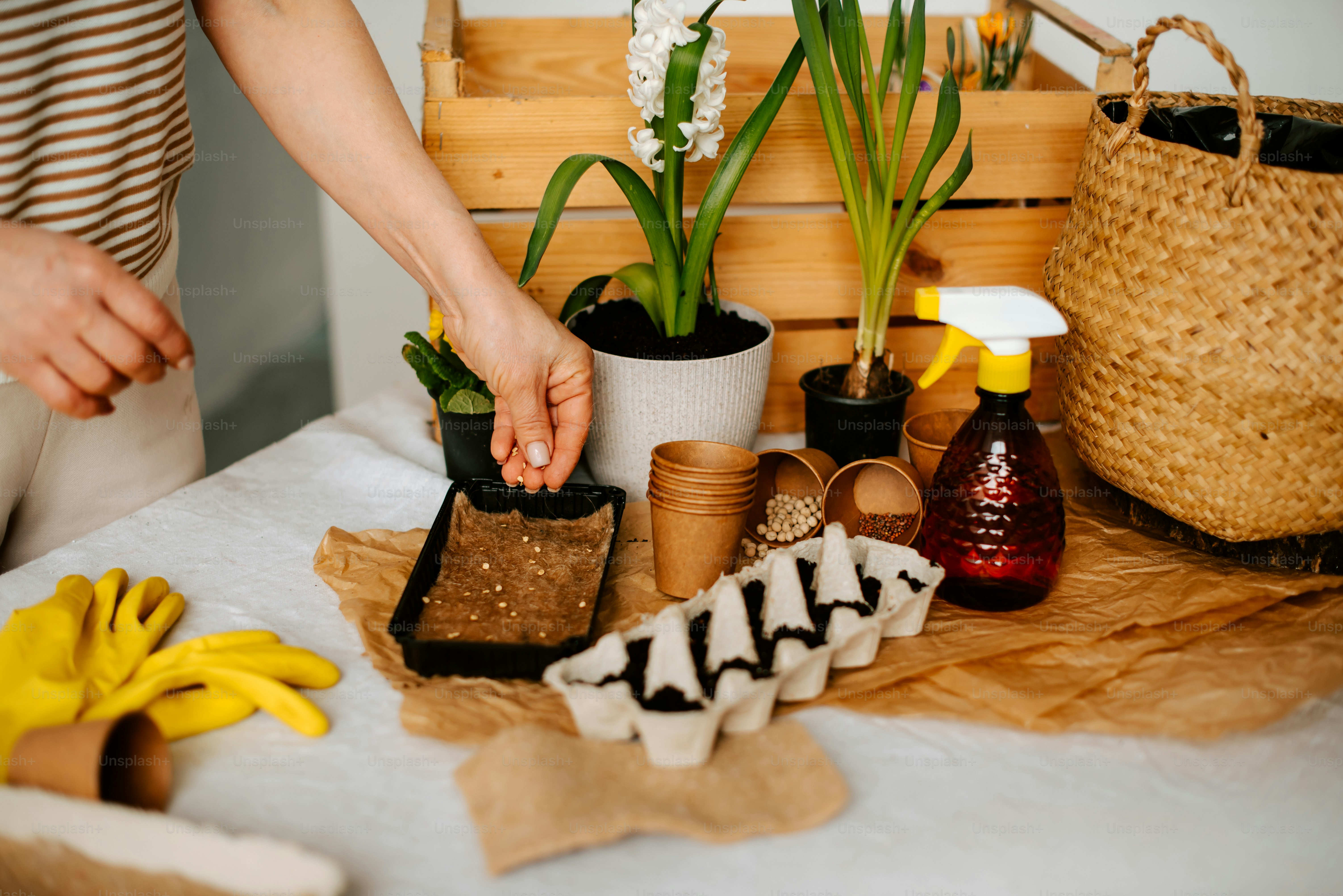 a woman is arranging plants in pots on a table