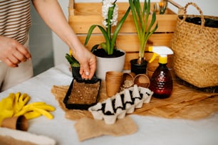 Une femme dispose des plantes dans des pots sur une table