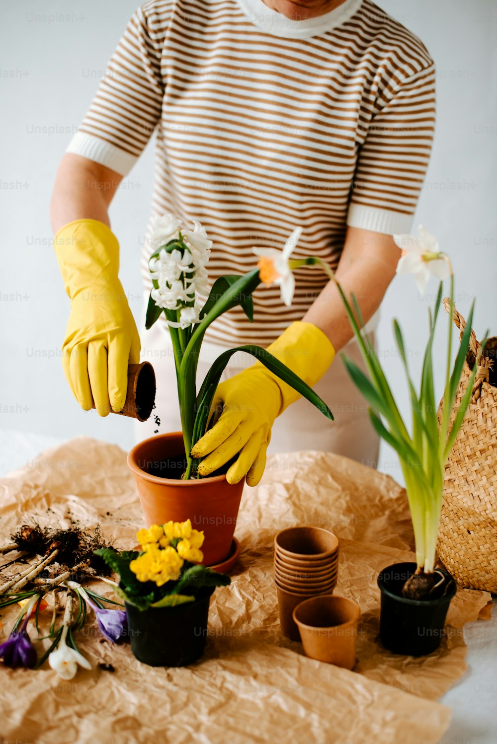 a person in yellow gloves and yellow gloves is putting flowers in a pot