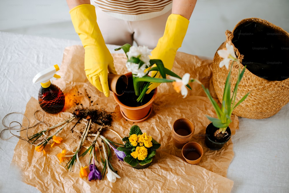 Une femme portant des gants jaunes arrange des fleurs