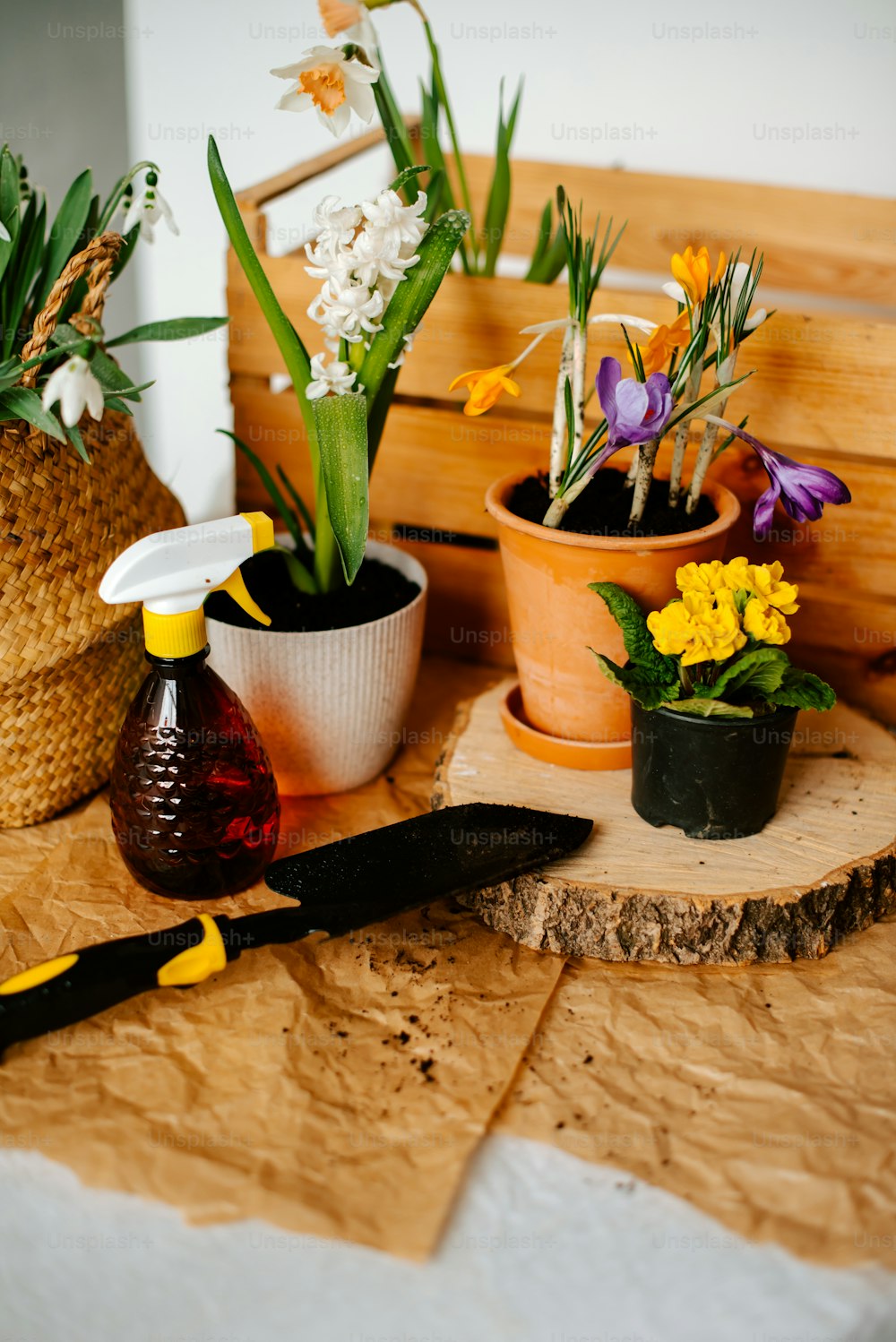 a table topped with potted plants and a knife