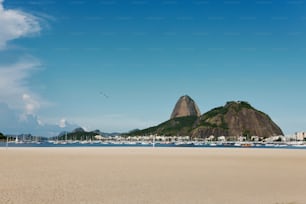 a sandy beach with a mountain in the background