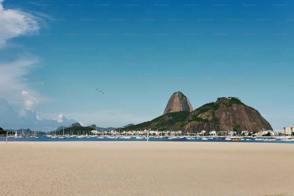 a sandy beach with a mountain in the background