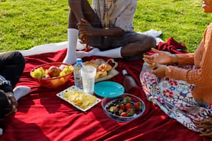 a group of people sitting on top of a red blanket