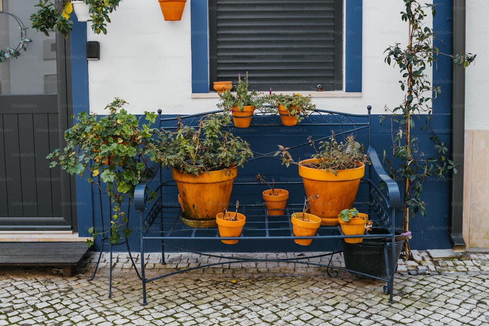 a bunch of potted plants sitting on a bench