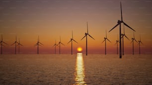 a group of windmills that are in the water