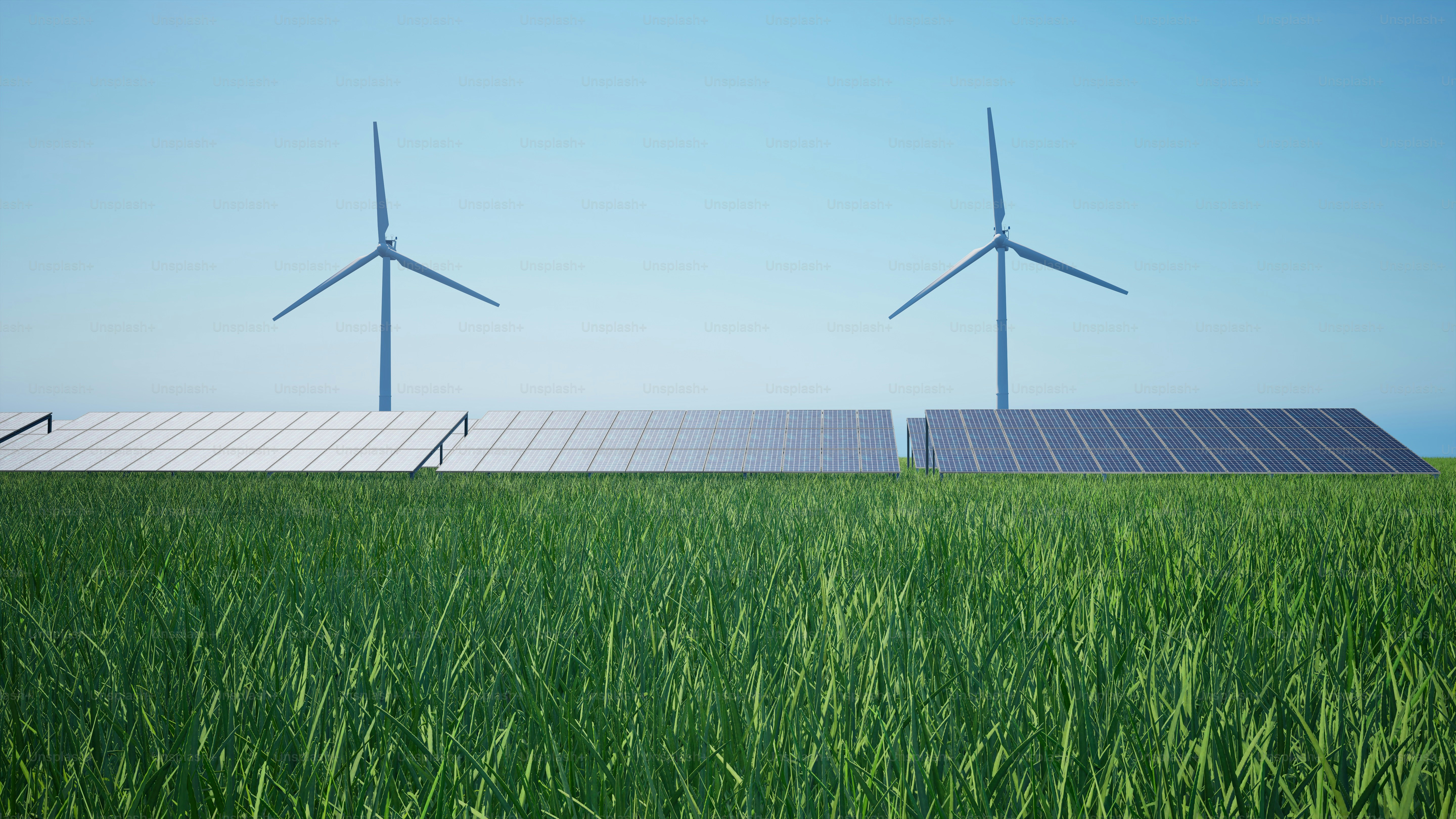 Ein grünes Grasfeld mit zwei Windrädern im Hintergrund