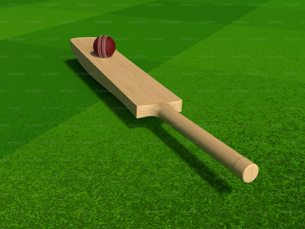 ein hölzerner Cricketschläger und Ball auf einer grünen Wiese