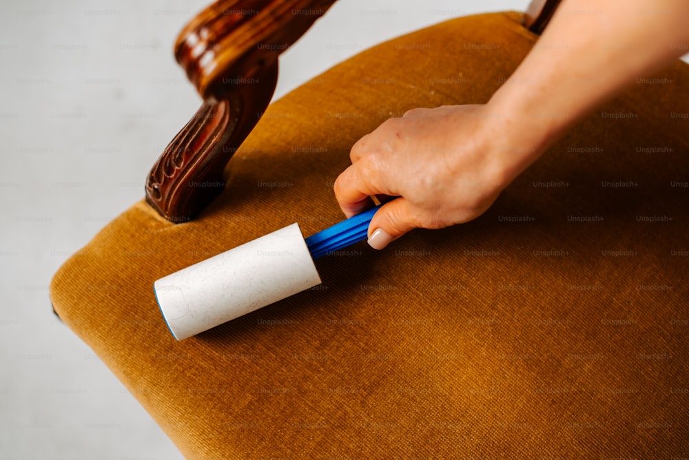 a person holding a roll of toilet paper on top of a chair