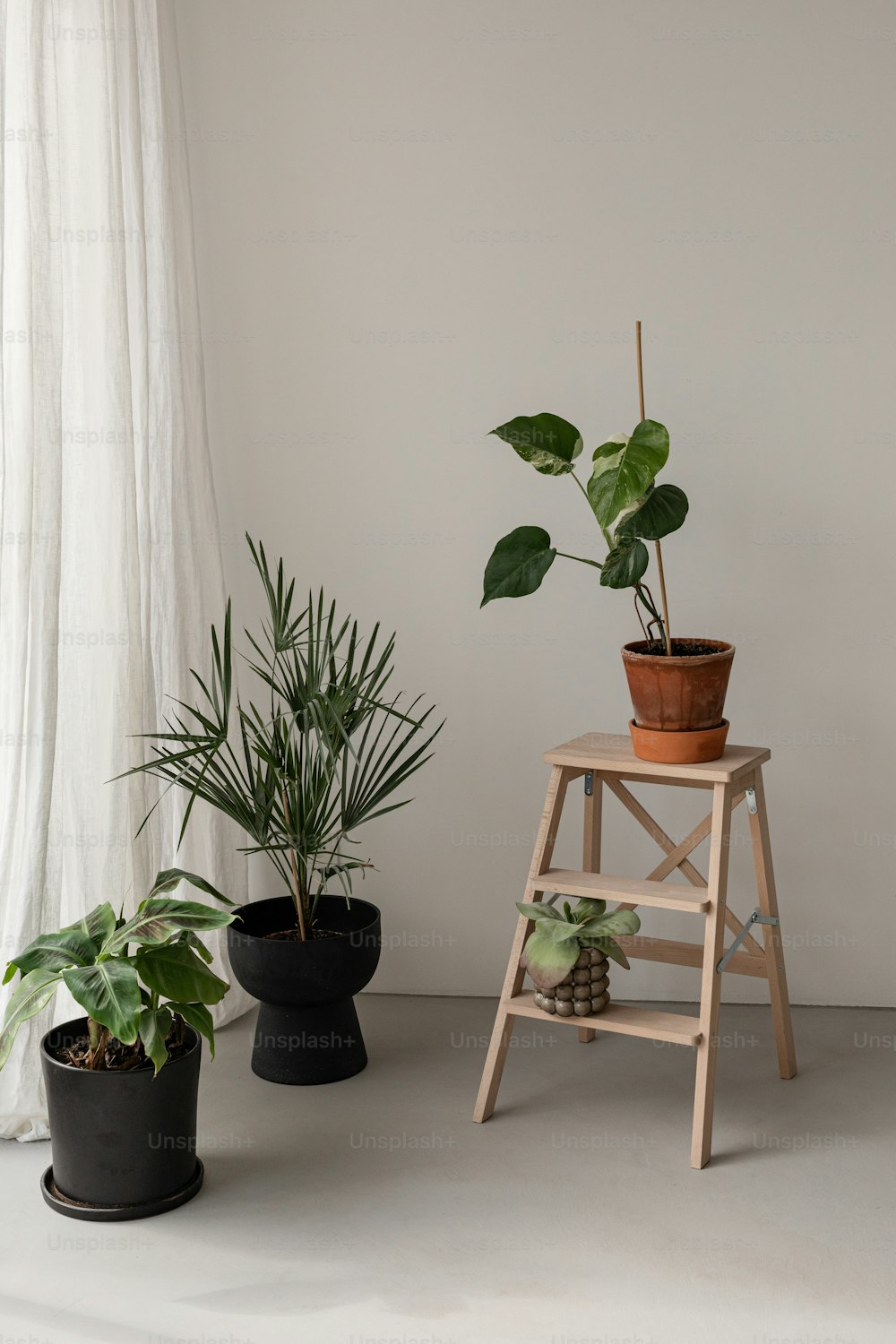 three potted plants sitting on top of a wooden stool