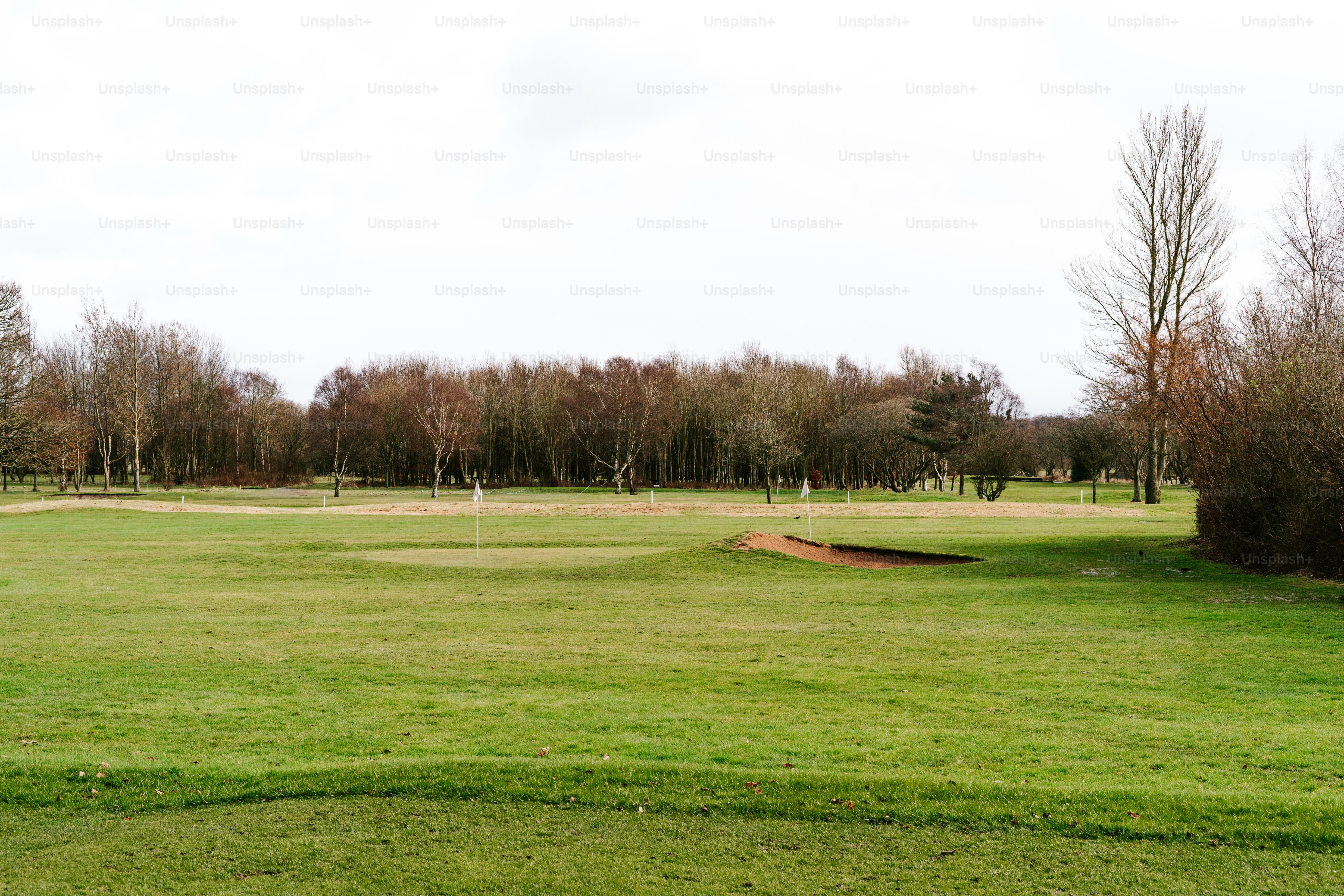 a green golf course with a hole in the middle