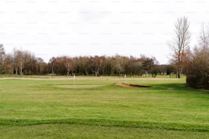 Un campo de golf verde con un hoyo en el medio