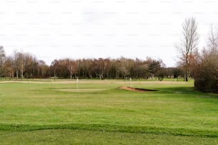 a green golf course with a hole in the middle