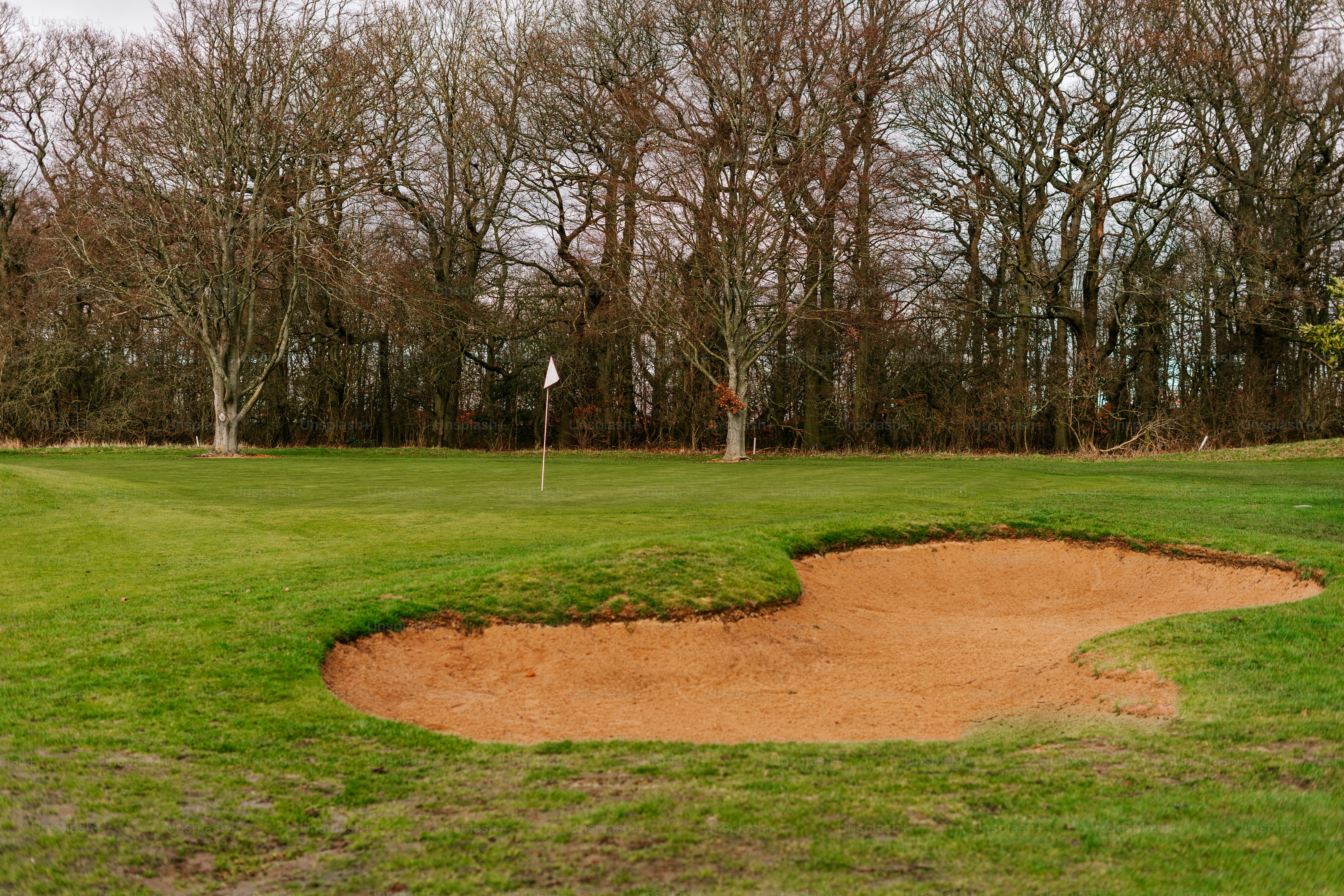 a green golf course with a hole in the middle