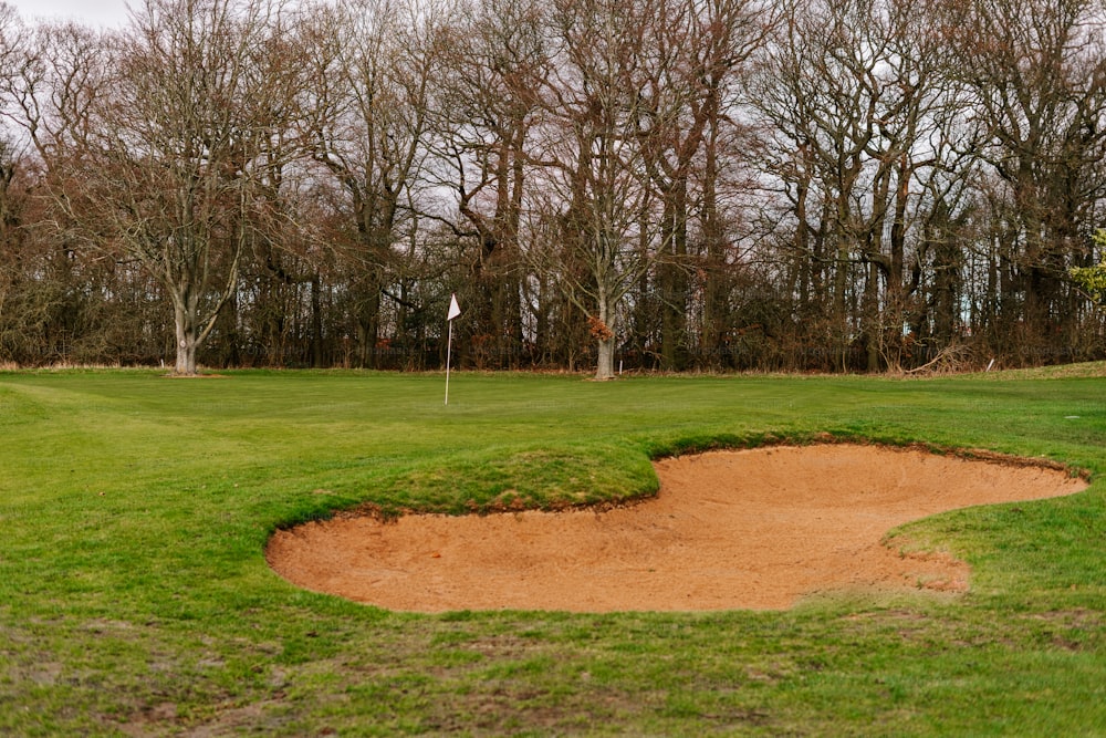 ein grüner Golfplatz mit einem Loch in der Mitte