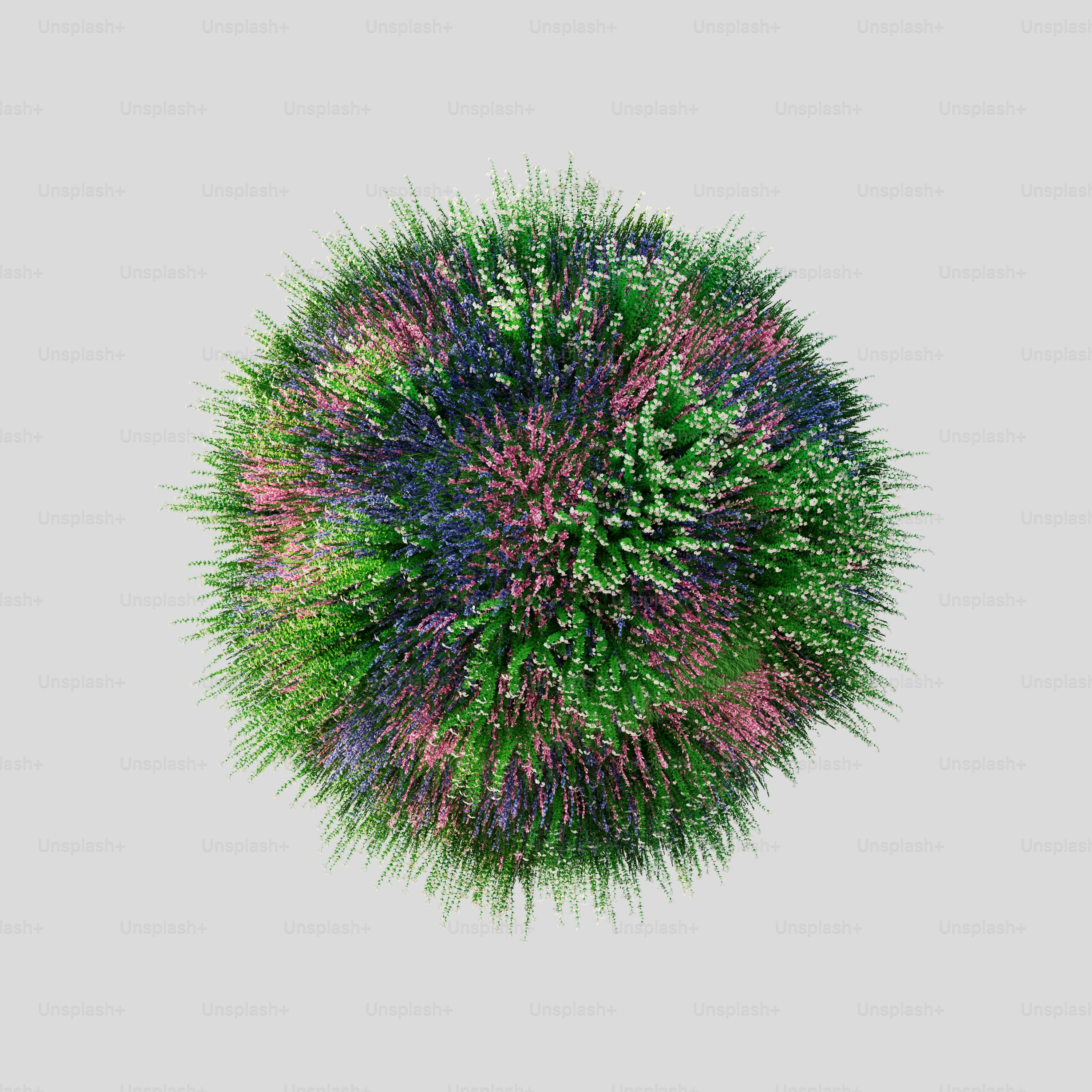 a circular arrangement of flowers on a white background