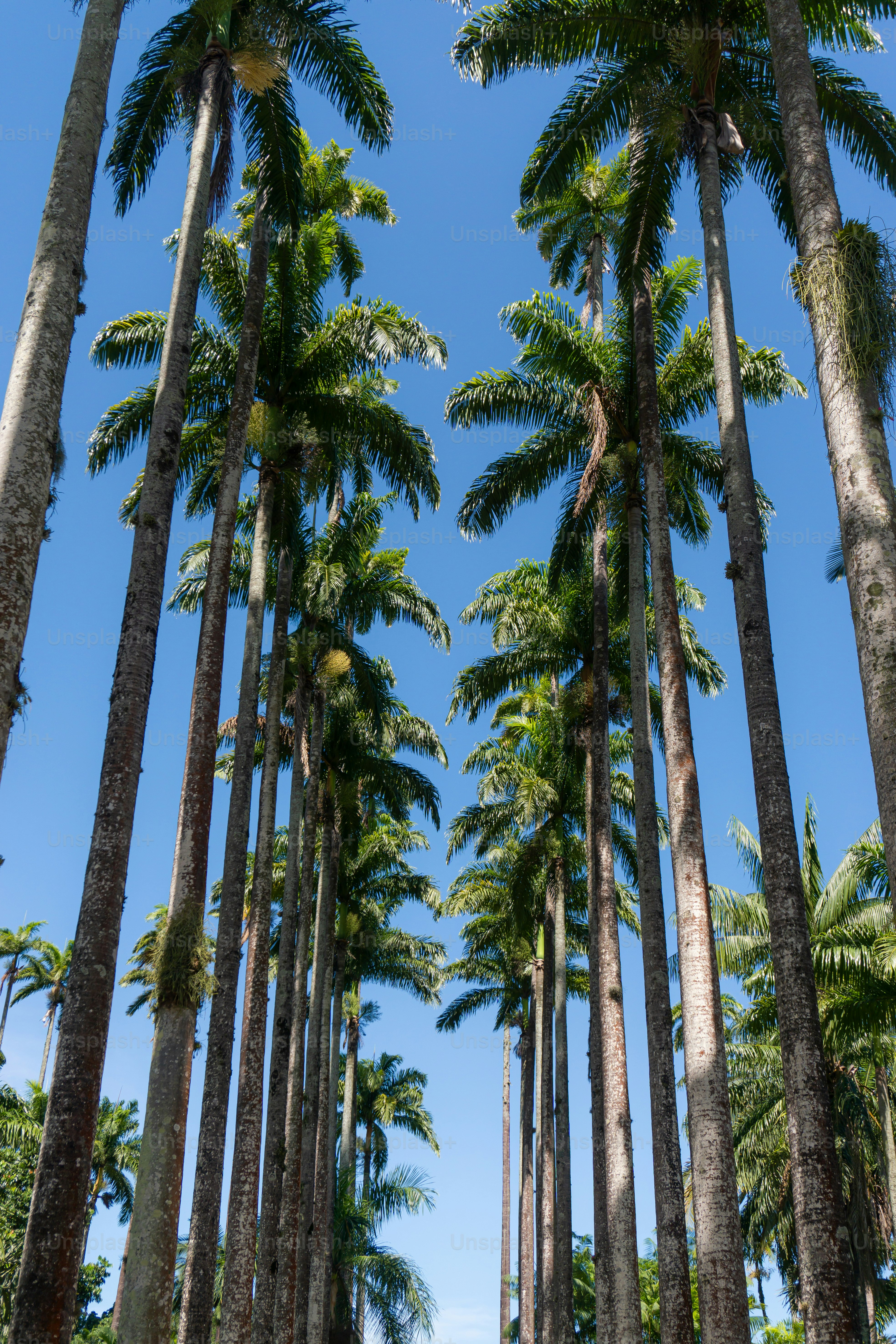 premium_photo-1679957335703-f3bda730478e?ixid=M3wxMjA3fDB8MXxzZWFyY2h8MXx8bGFuZHNjYXBpbmclMjBjb21wYW5pZXMlMjBob25vbHVsdSUyMGhpfGVufDB8fHx8MTc1NTgwMjA1Mnww\u0026ixlib=rb-4.1.0