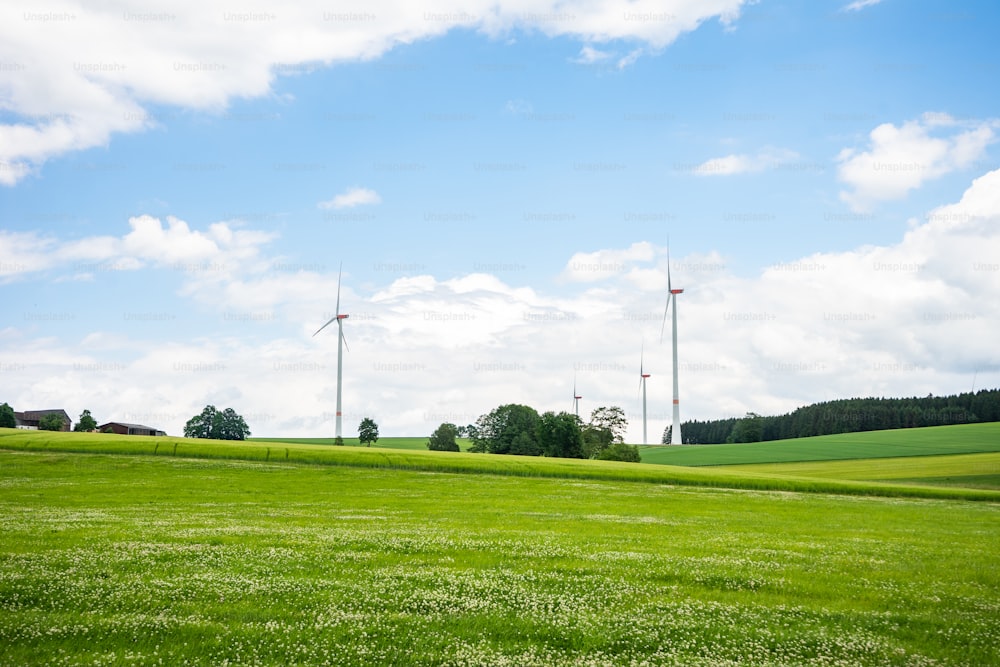 um campo verde com turbinas eólicas à distância