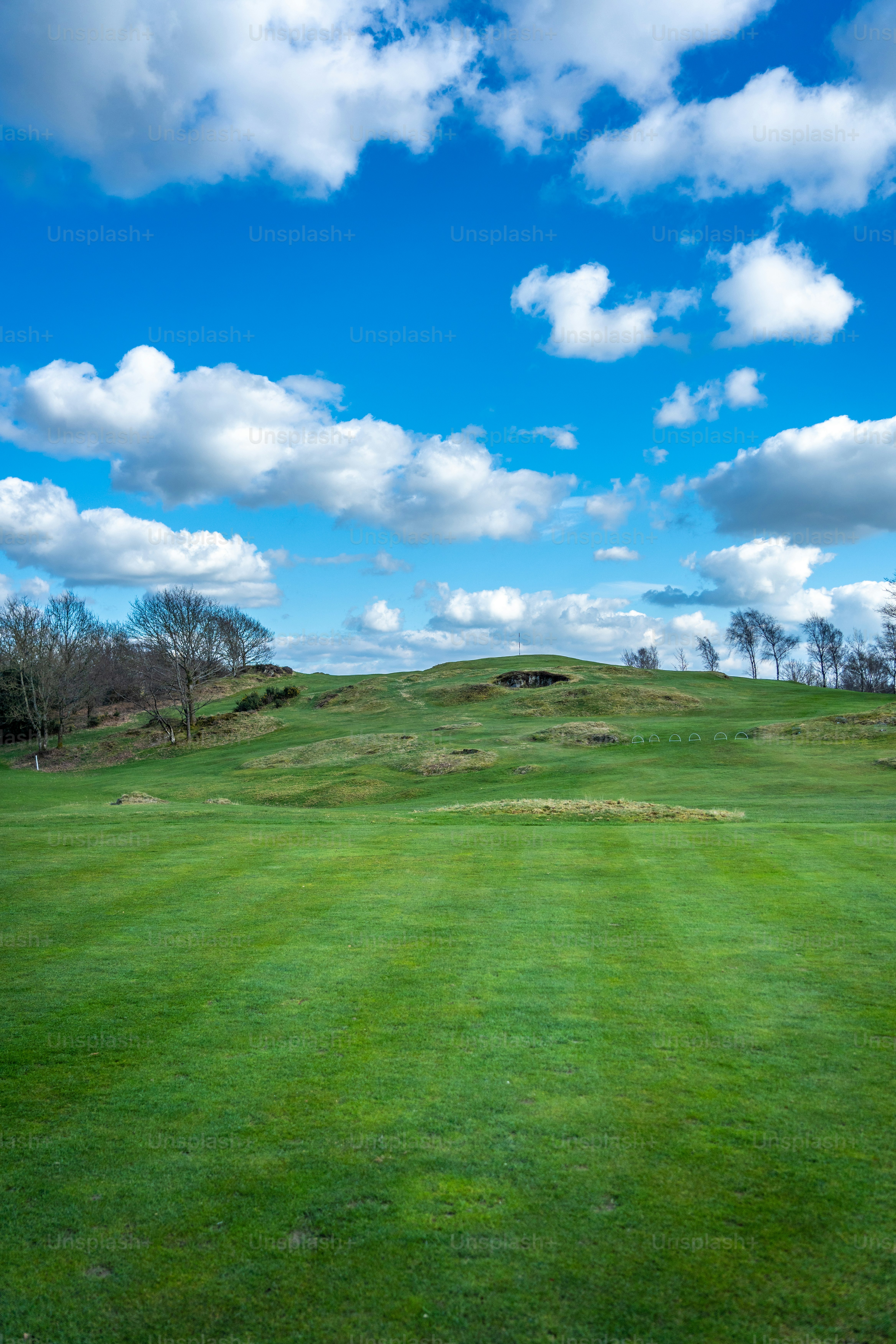 a green field with a hill in the background