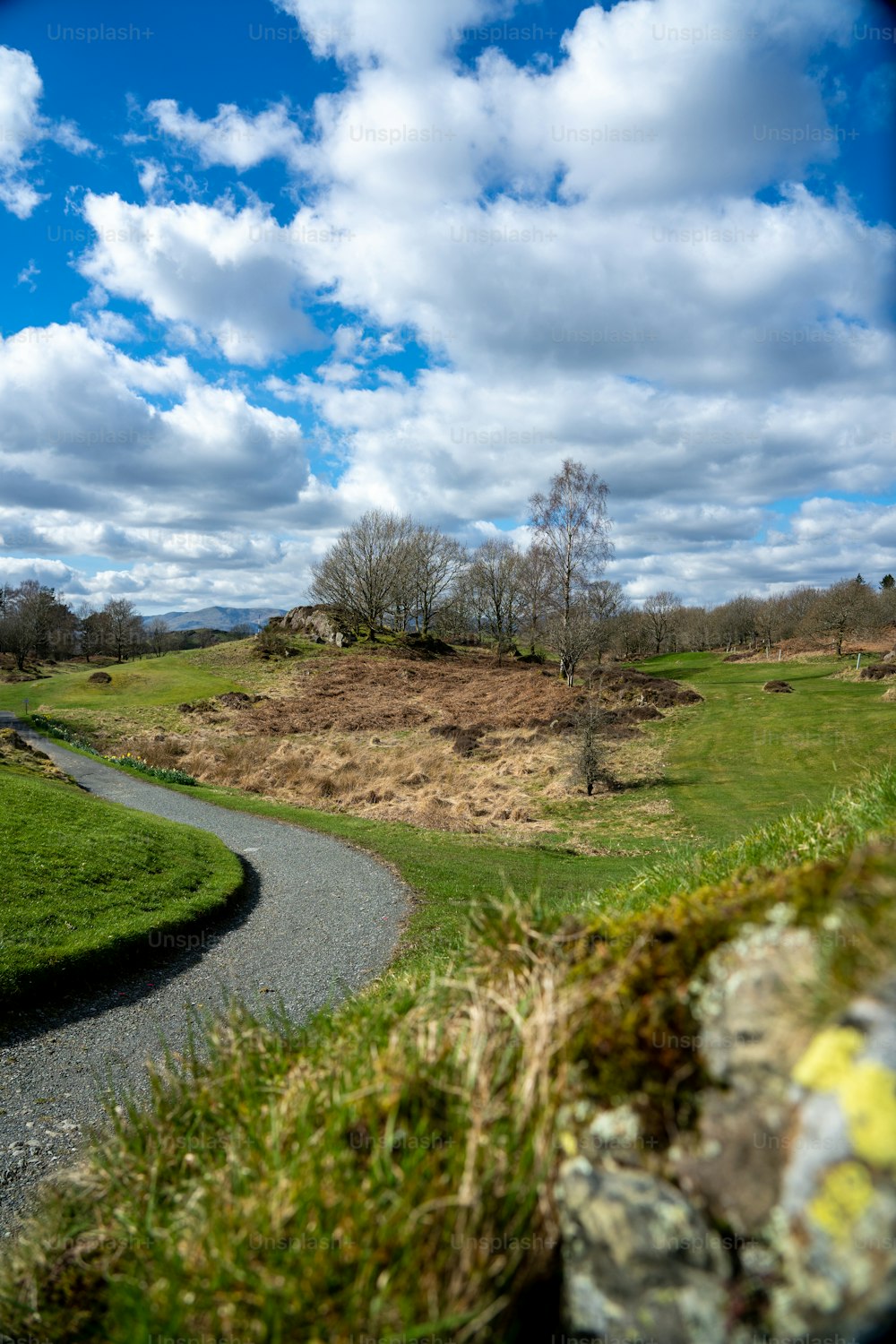 a road going through a lush green field under a cloudy blue sky