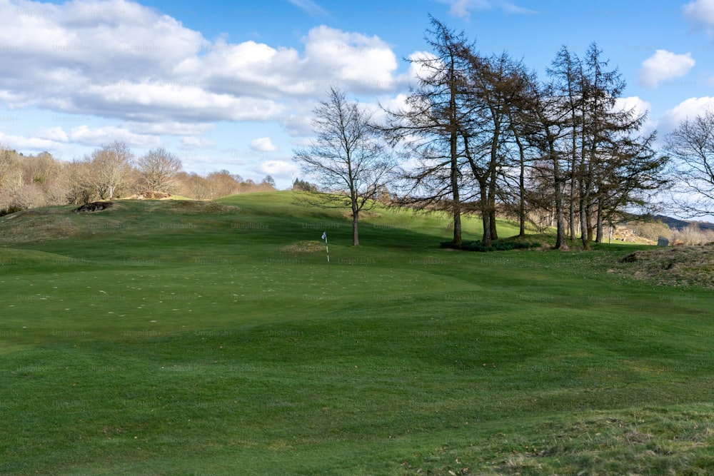 un parcours de golf verdoyant avec des arbres sur le côté