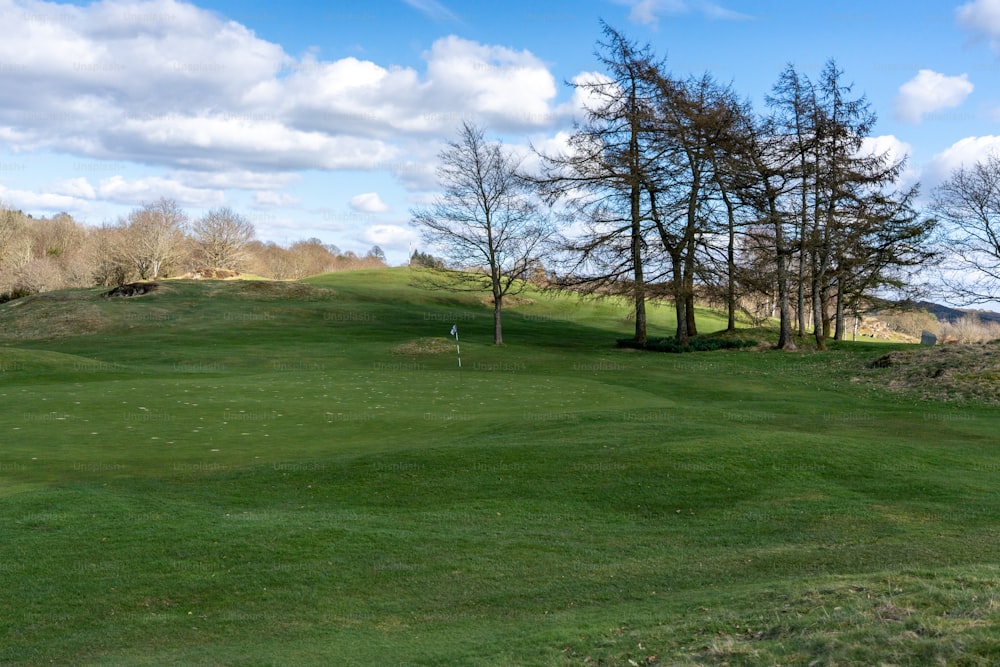 a green golf course with trees on the side