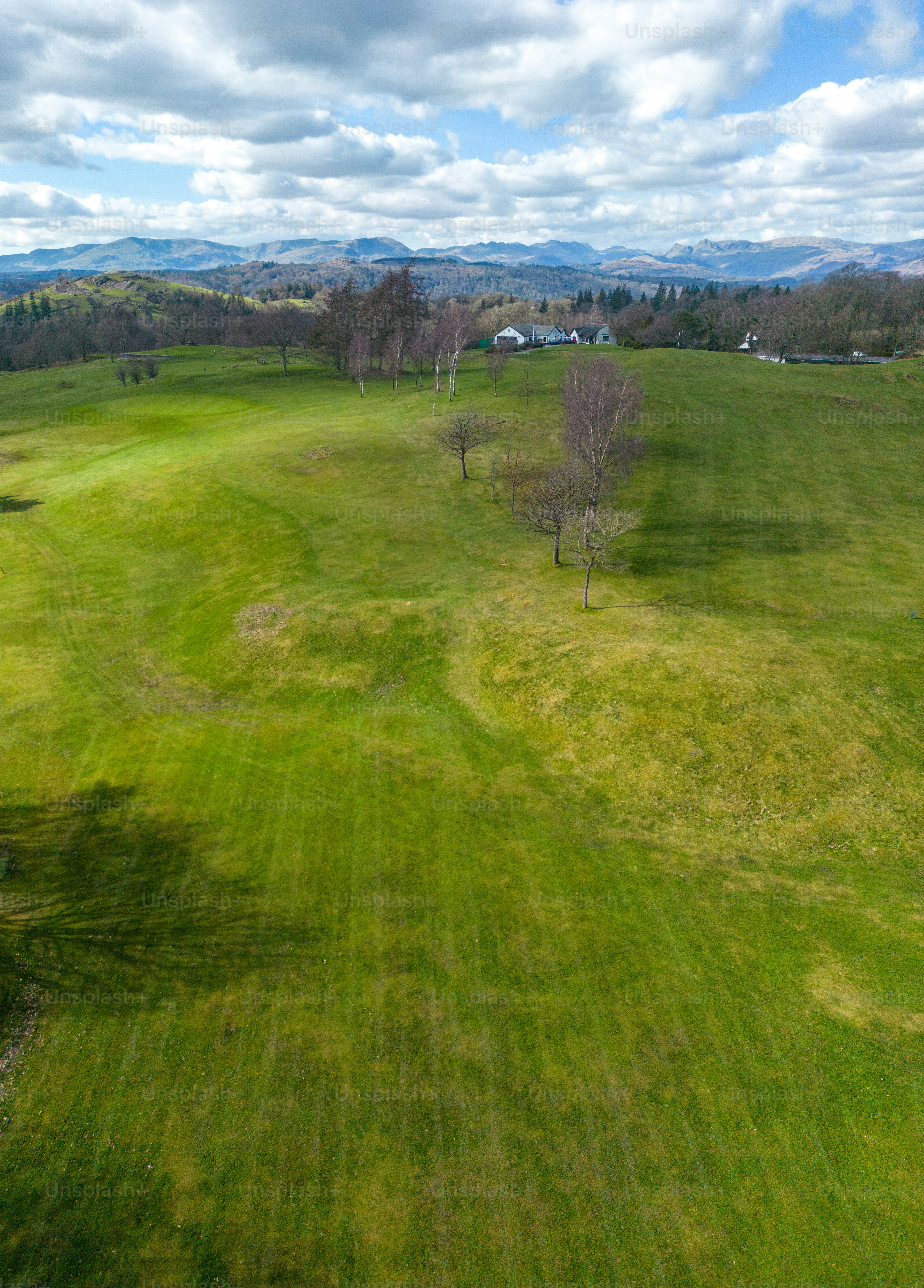 広い緑の野原の空撮