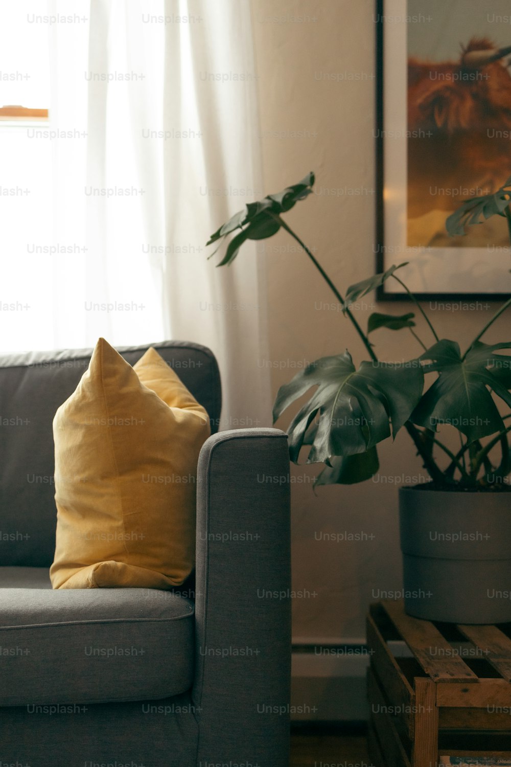 una sala de estar con un sofá y una planta en maceta