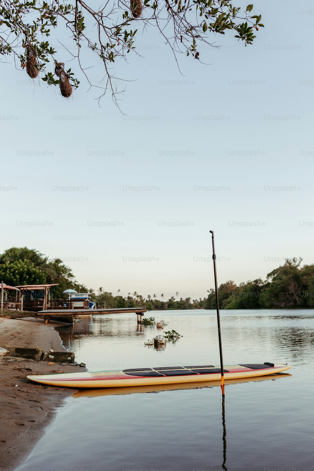 a surfboard is tied to a pole in the water