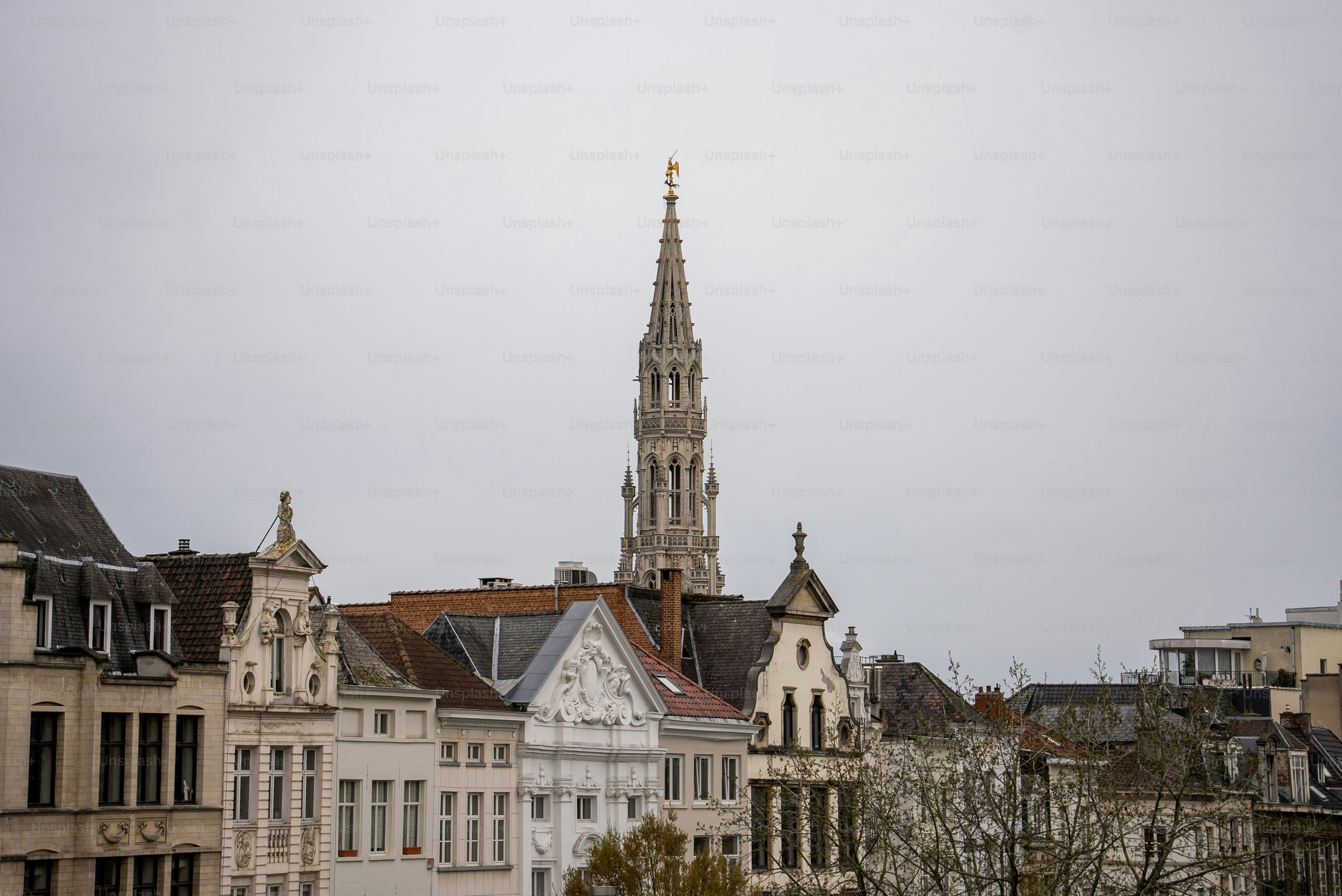 premium_photo-1680033007317-f037146e7c51?ixid=M3wxMjA3fDB8MXxzZWFyY2h8MXx8YnJ1eGVsbGVzJTIwYWNoYXQlMjBkJUUyJTgwJTk5b3J8ZW58MHx8fHwxNzQ3MjE3MTM4fDA\u0026ixlib=rb-4.1.0