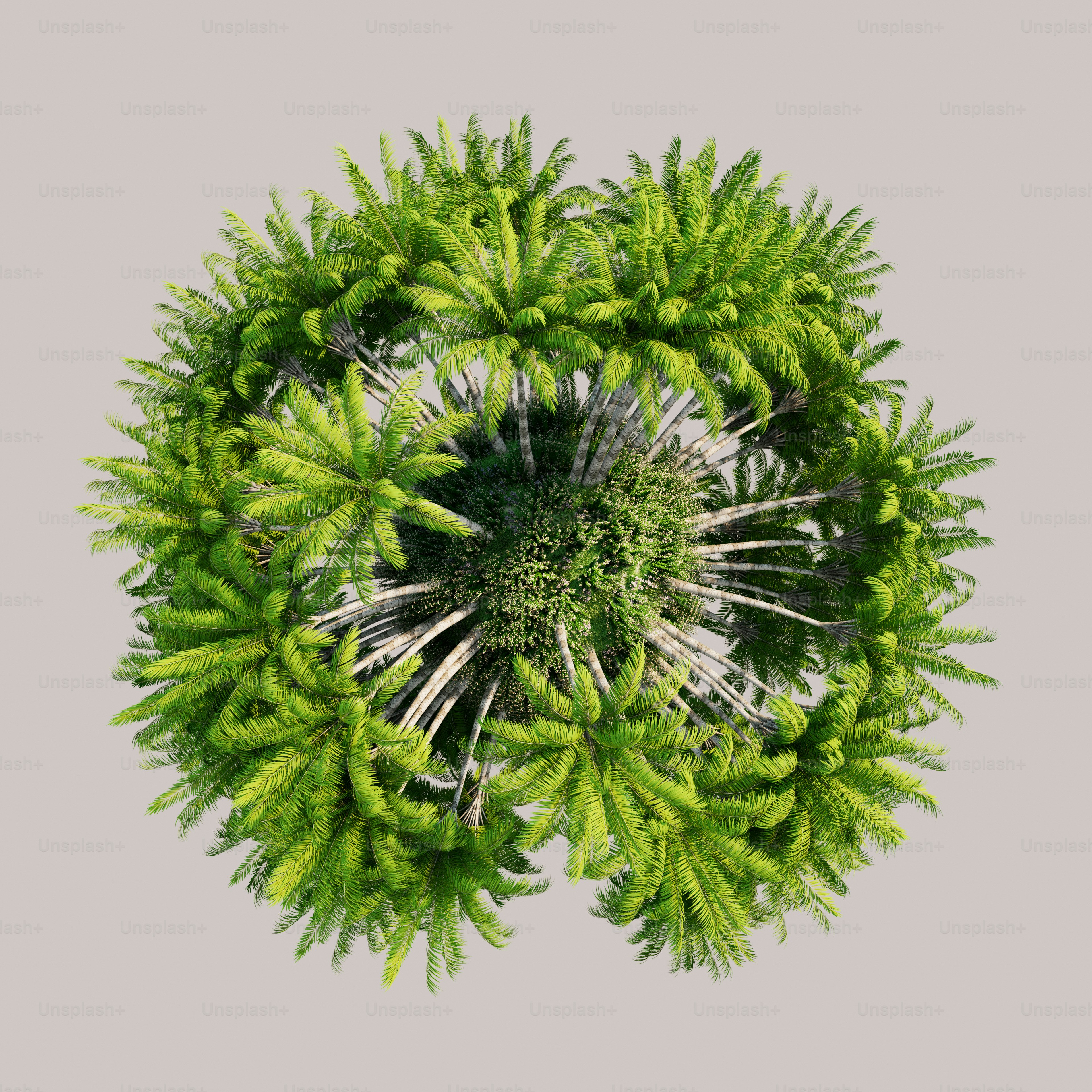 회색 배경에 녹색 식물의 원형 배열
