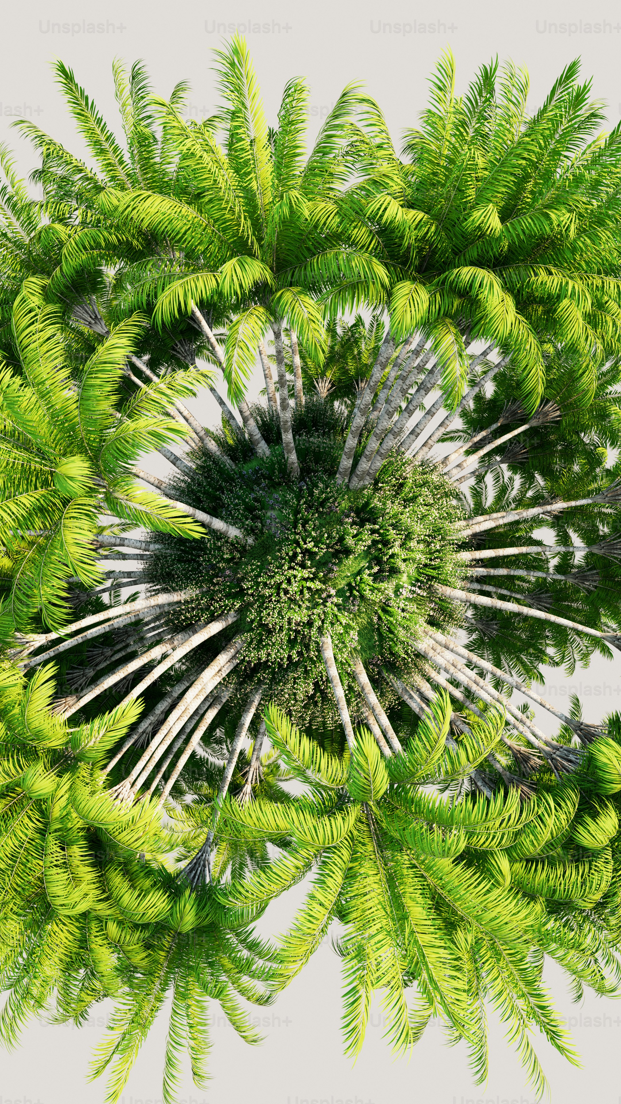 Flora Growth Corp. (FLGC) Leaps Into Web3 With $1M Crypto Bet