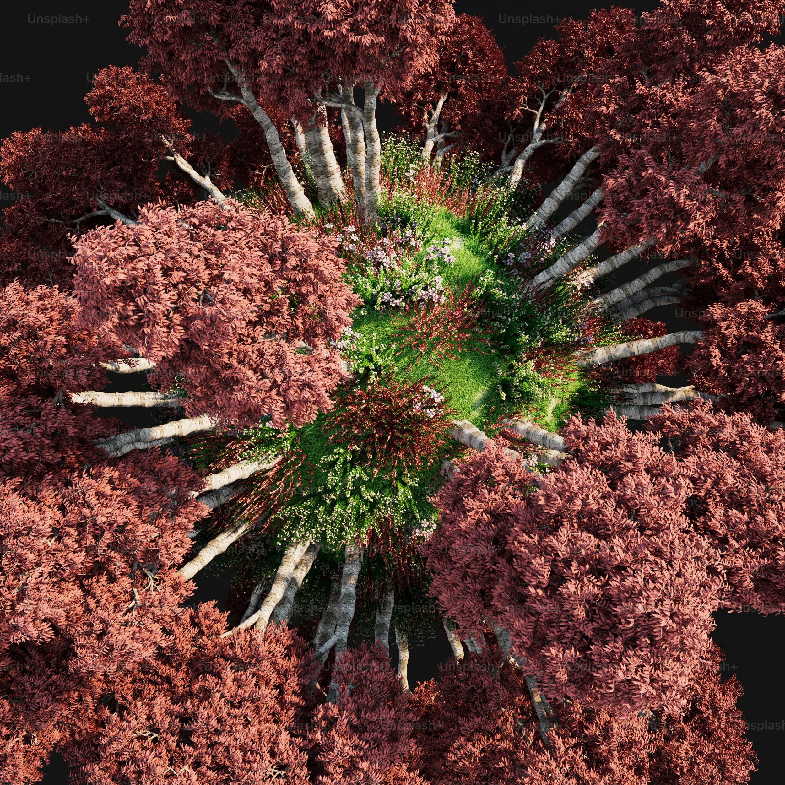 나무 무리의 조감도