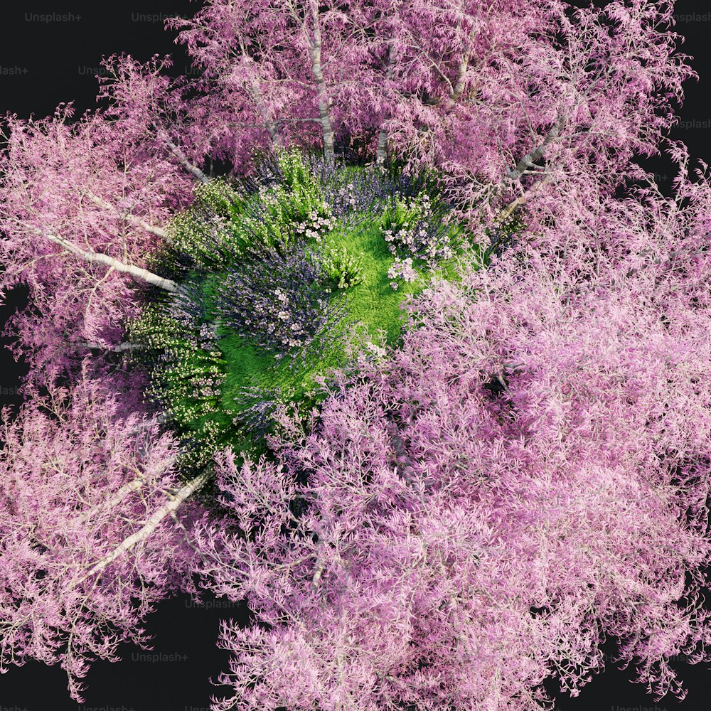 an aerial view of trees with purple leaves