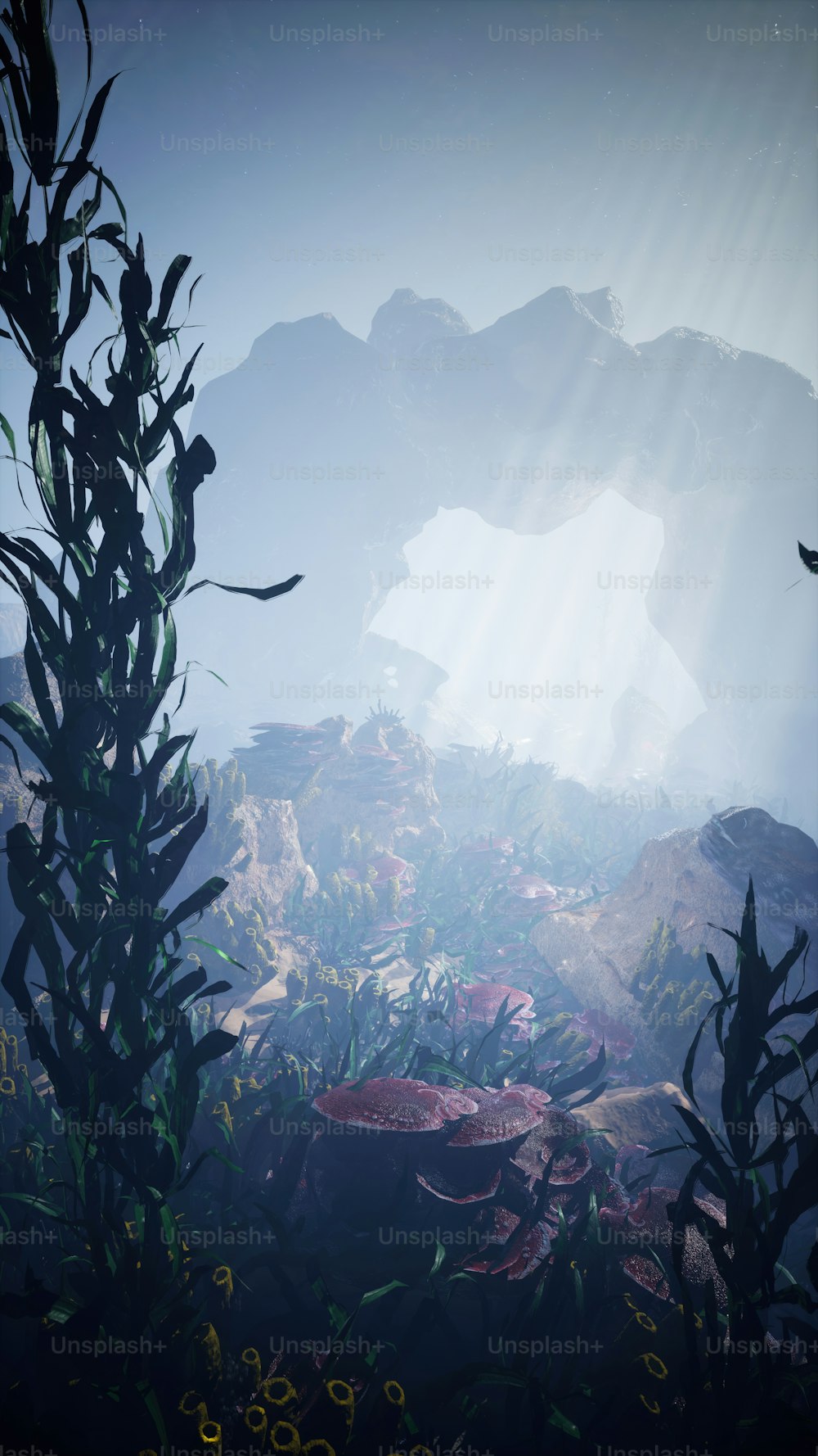 an underwater scene with plants and rocks in the foreground