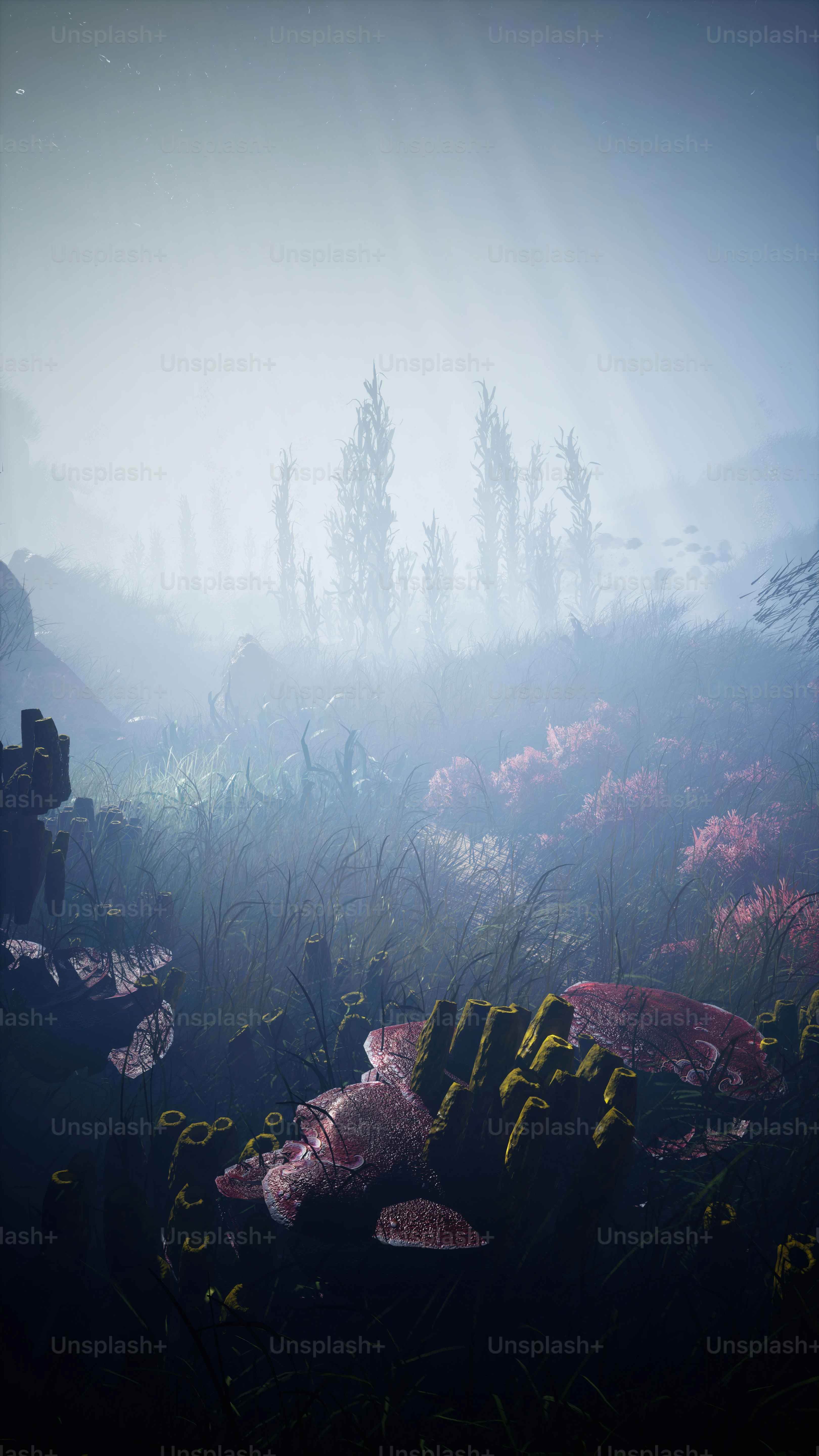 a foggy forest filled with lots of flowers