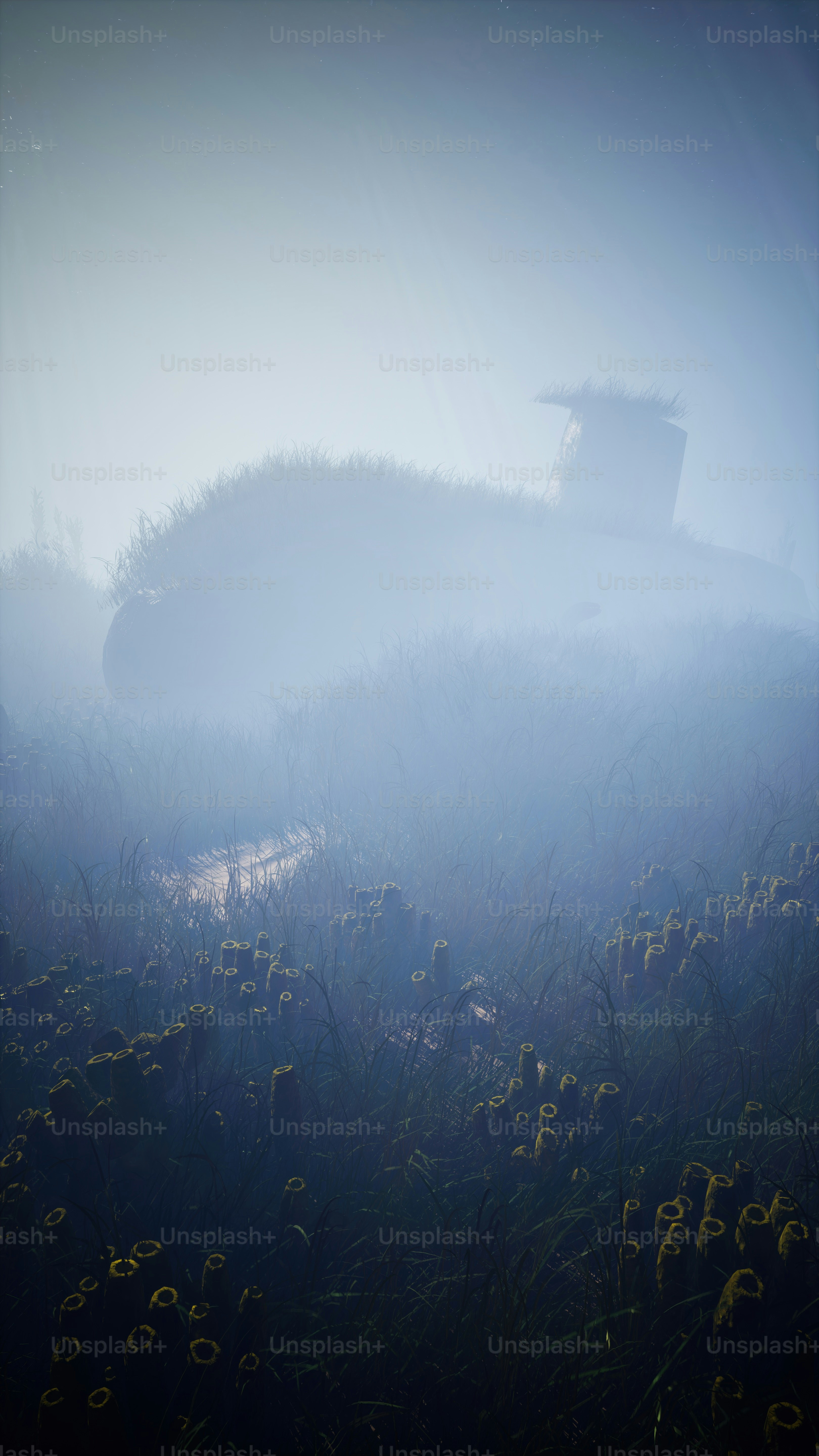a foggy field with yellow flowers in the foreground