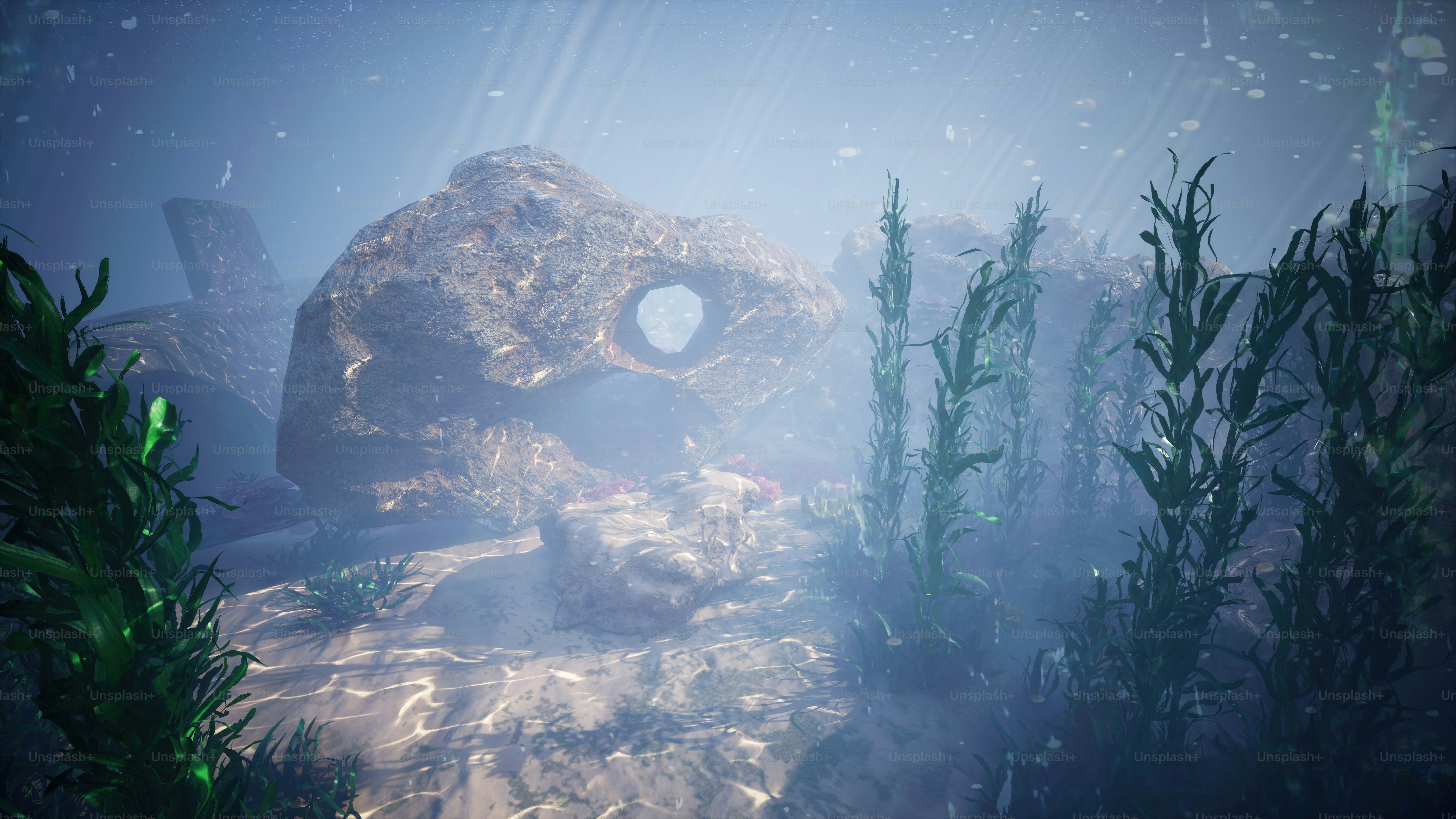 an underwater scene with rocks and plants