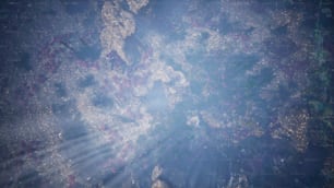 an aerial view of a forest with lots of trees