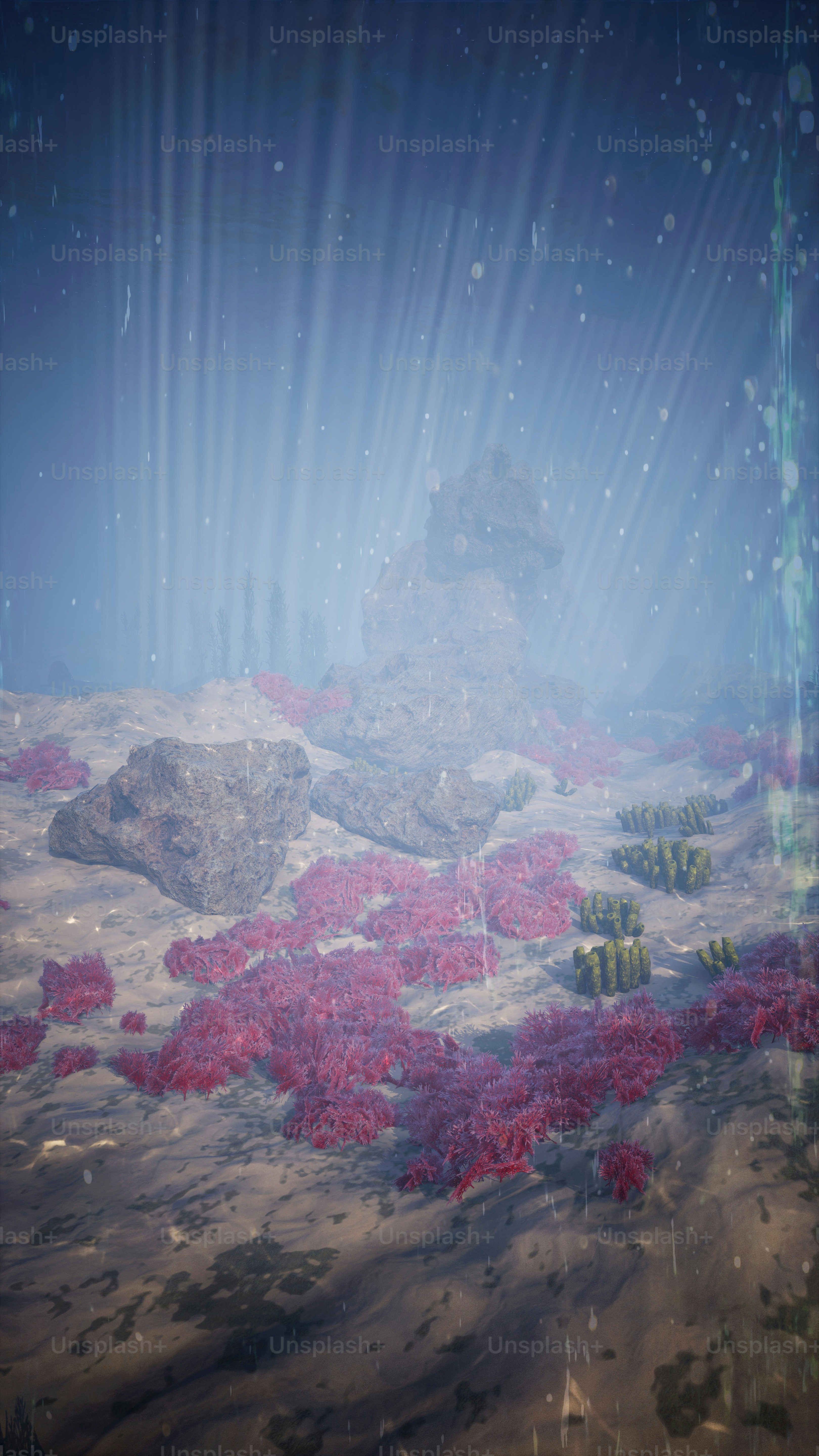 an underwater scene with red plants and rocks