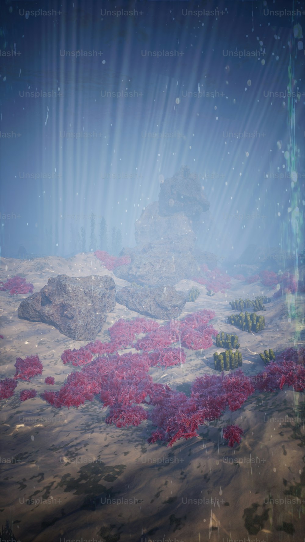 an underwater scene with red plants and rocks