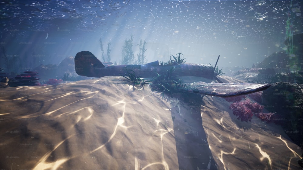 an underwater scene of a man on a surfboard