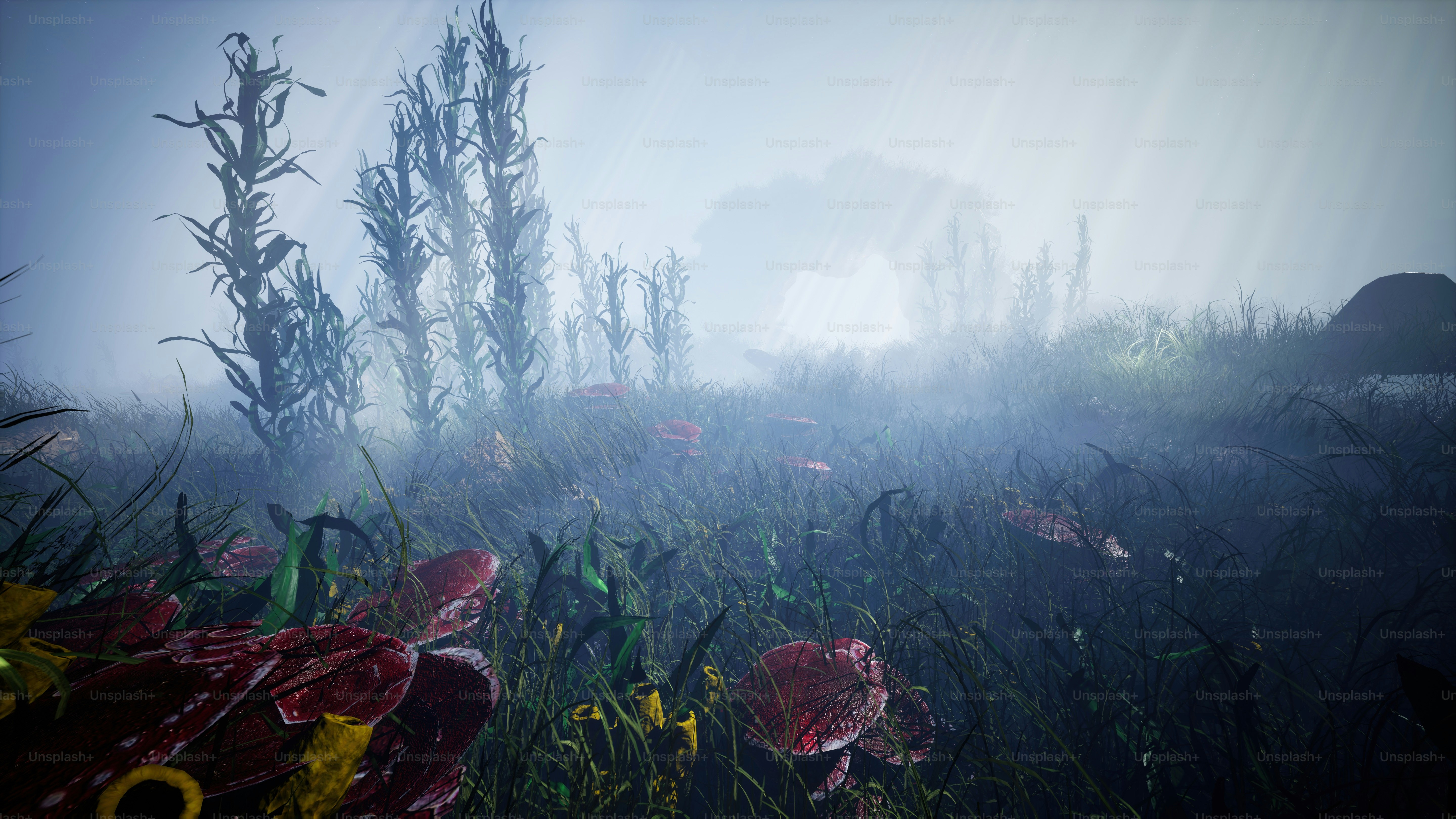 a bunch of flowers that are in the grass