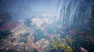 Eine Unterwasserszene mit Felsen und Pflanzen