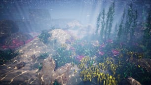 an underwater scene with rocks and plants