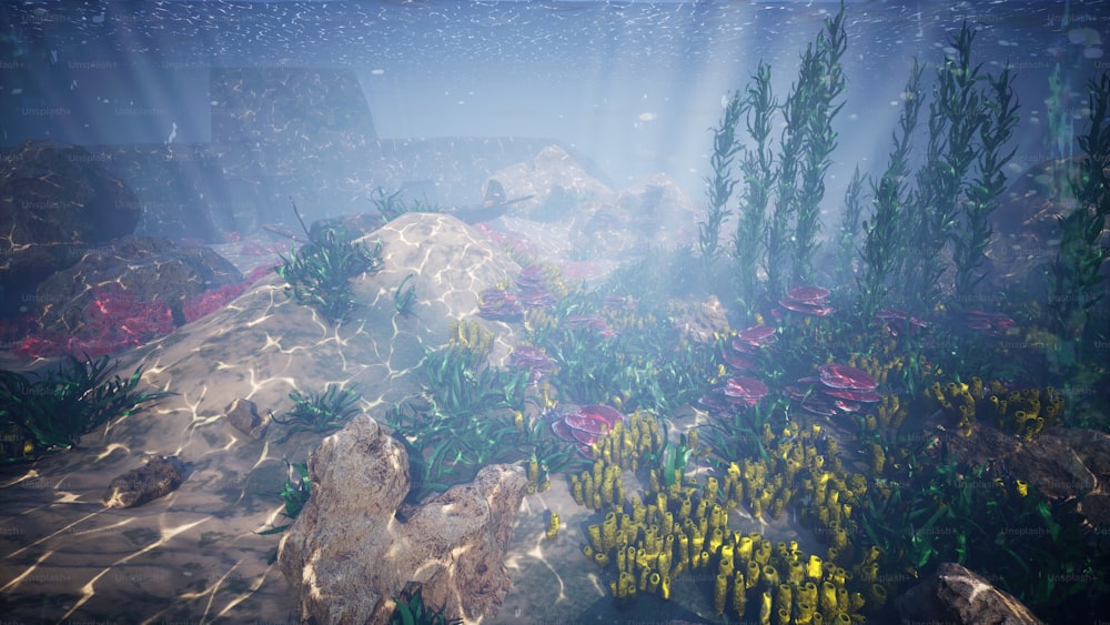 바위와 식물이 있는 수중 장면